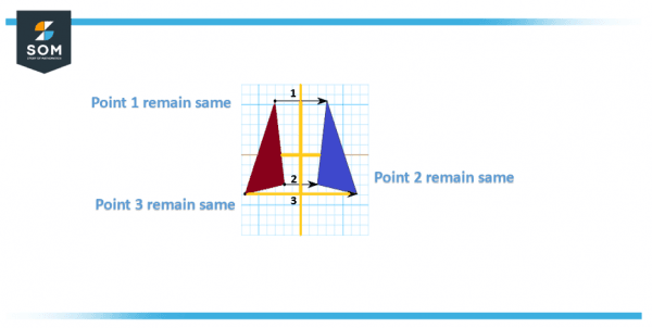 Invariant Reaction Example Invariant | Definition & Meaning