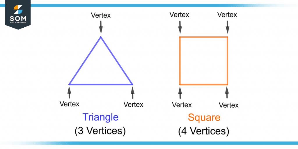 What else is a vertex called?