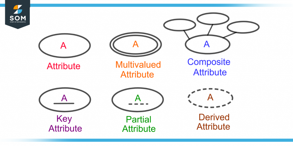 graphical representation of different types of attributes in an entity relationship diagram