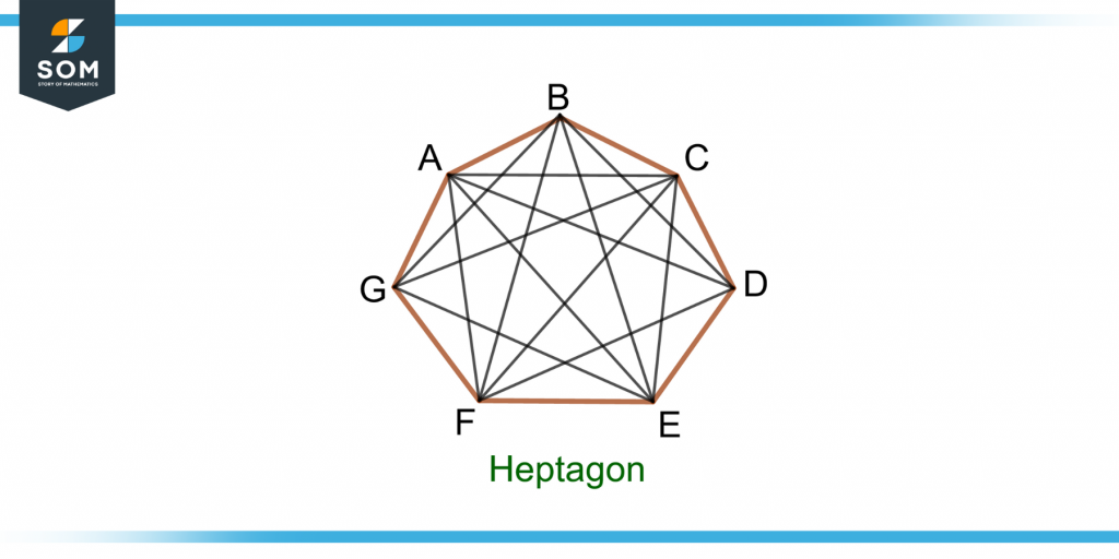 illustration of total number of diagonals of a heptagon and its vertices