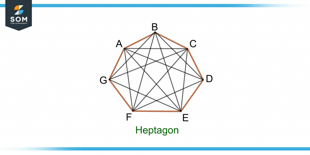 illustration of total number of diagonals of a heptagon and its vertices