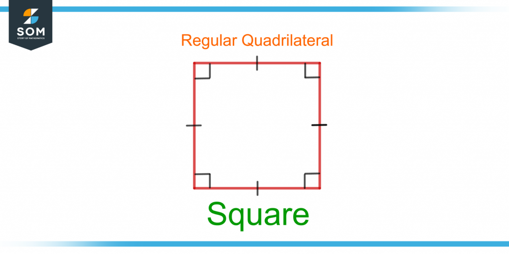 square an example of regular polygon a quadrilateral