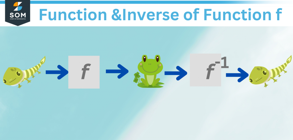 tadpole and frog Function inverse of Function