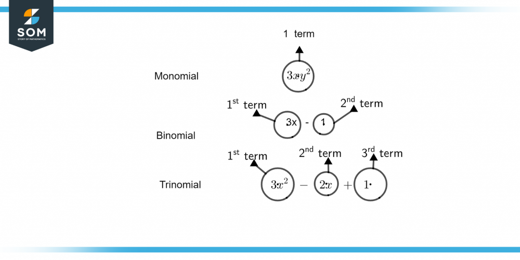 Difference Between Monomial Binomial and Trinomial