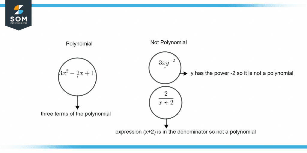 Difference Between Polynomial and non Polynomial Expression