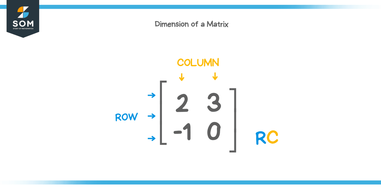 Dimension of a matrix Explanation & Examples