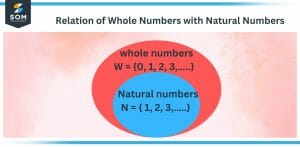 Relation of Whole Numbers with Natural Numbers