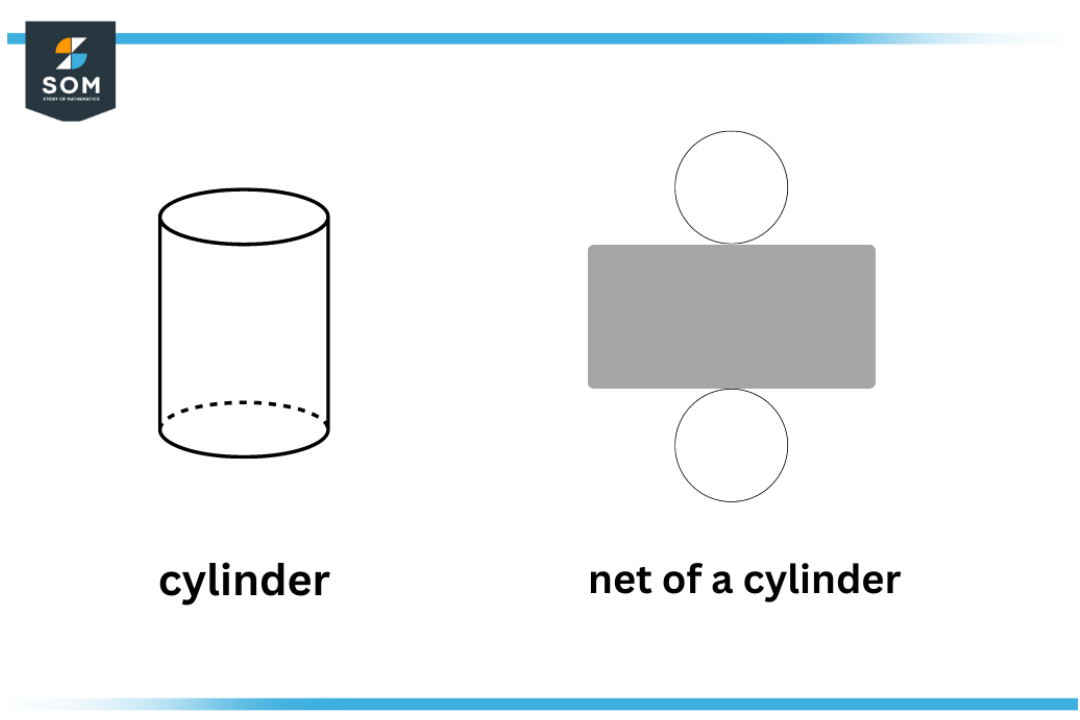 net of a cylinder